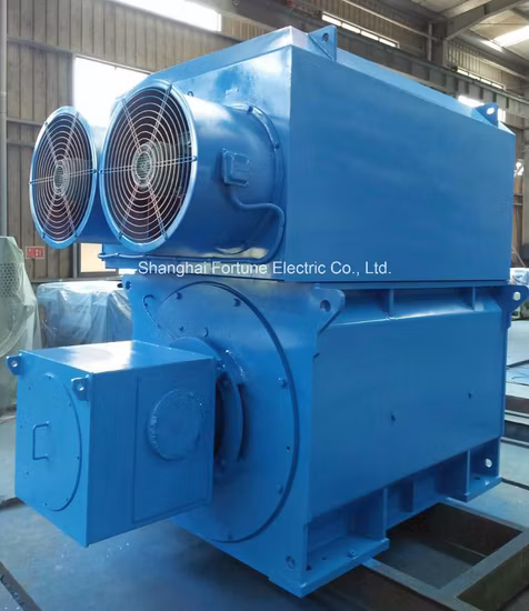 Máquina de laminação de cana-de-açúcar, cimento e aço, anel deslizante de rotor enrolado de alta tensão, motor AC